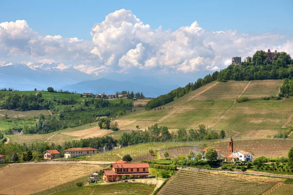 Hills of Piedmont at spring. Northern Italy. — Stock Photo, Image