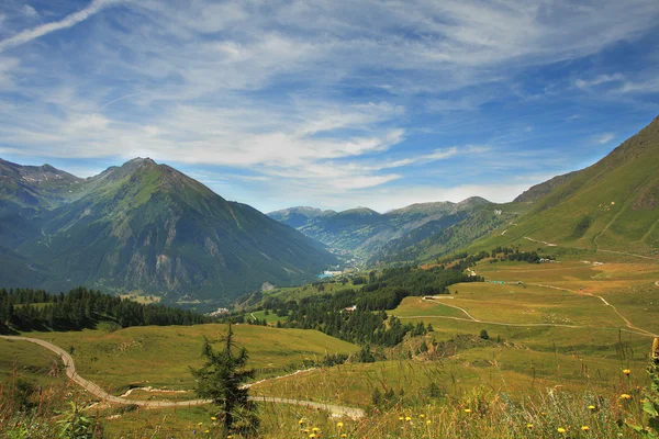 Felder und Wiesen in den Alpen. — Stockfoto