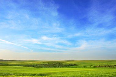 Green meadow under the sky. clipart