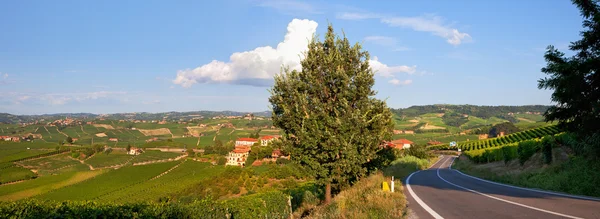 Panorama zelených kopců Piemont, Itálie. — Stock fotografie