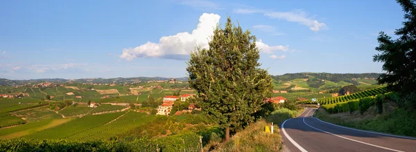 piedmont, İtalya'nın yeşil tepeleri Panoraması.