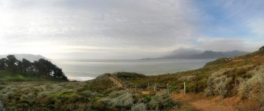 Presidio Parkı san francisco, ABD.