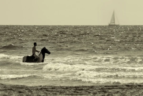 Jinete de caballos. Mar Mediterráneo, Israel . — Foto de Stock