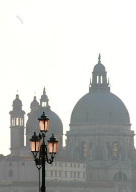 Santa maria della salute bazilika. Venedik, İtalya.