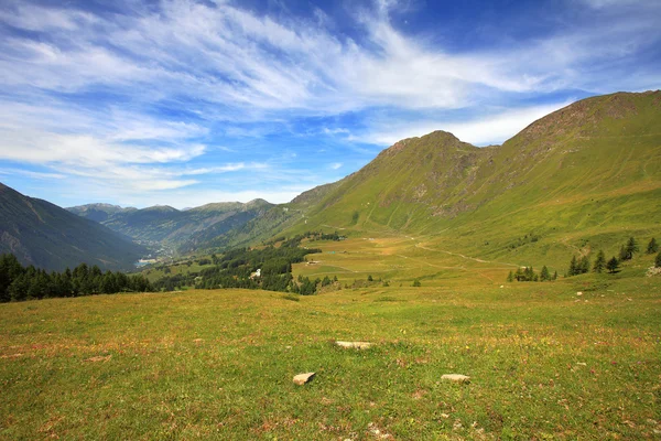 Velden en weiden in Alpen. — Stockfoto