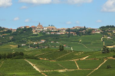 Hills of Piedmont. Northern Italy. clipart