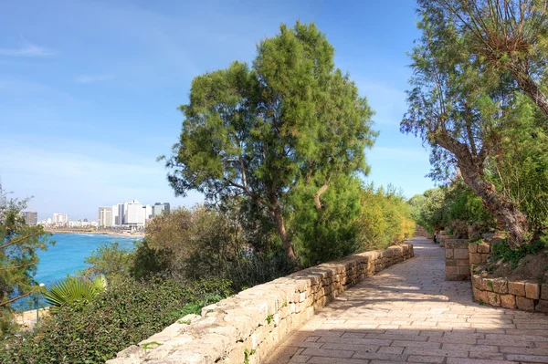 Promenade in yafo, Israël. — Stockfoto