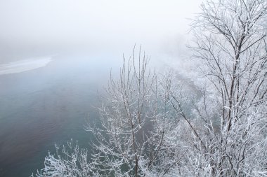 Buz kırağı. Tanaro Nehri, Piedmont, İtalya.