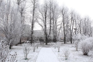 Şehir Parkı. Alba, İtalya.