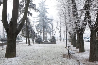 Rime Frost altında şehir parkı. Alba, Kuzey Italya.