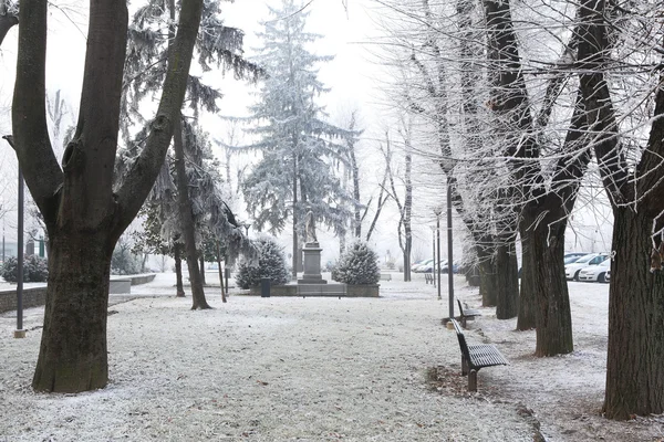 City park under rime frost. Alba, Northern Italy. — Stock Photo, Image