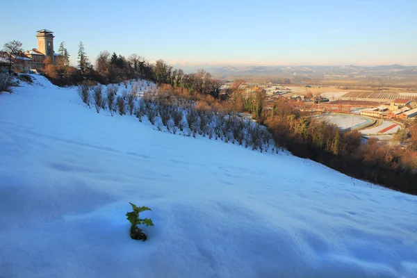 Śnieżny wzgórza Piemontu. — Zdjęcie stockowe