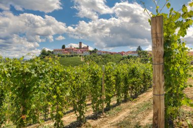 Vineyards and small town. Castiglione Falletto, Italy. clipart