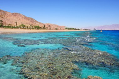 Kızıldeniz kıyısındaki. Eilat, İsrail.