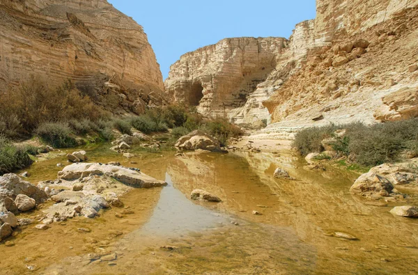 Ein avdat canyon. Israël. — Stockfoto