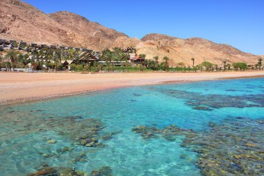 Kızıldeniz kıyısındaki. Eilat, İsrail.