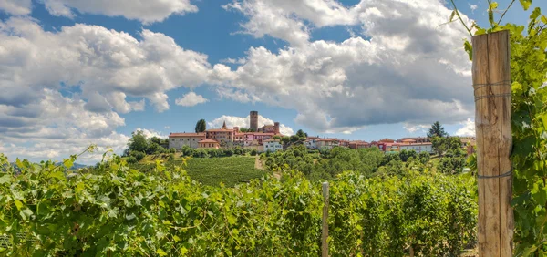 Wijngaarden en kleine stad. Castiglione falletto, Italië. — Stockfoto