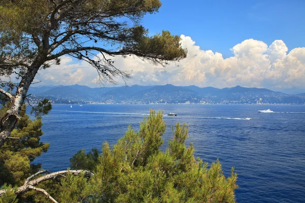 Záliv portofino a Ligurského pobřeží. severní Itálie. — Stock fotografie