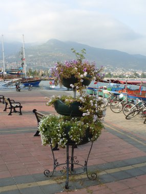 Alanya