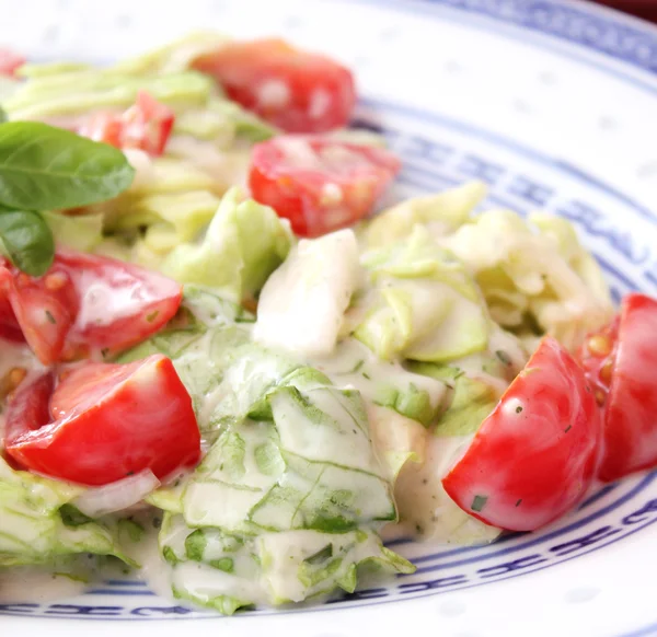 Salade Verte Fraîche Aux Tomates — Photo