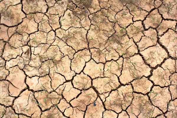 The dried up cracked earth — Stock Photo, Image