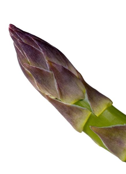 Stalk of asparagus — Stock Photo, Image