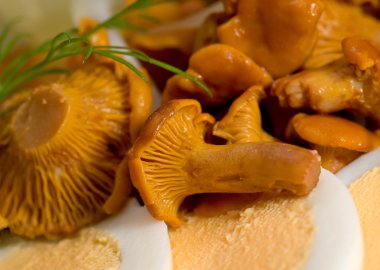 Marinated mushrooms clipart