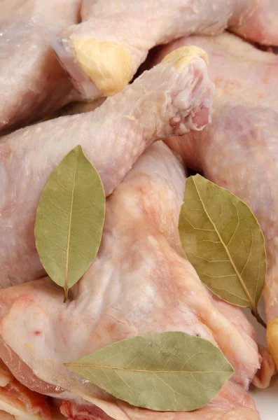 Uda z kurczaka z liść laurowy — Zdjęcie stockowe