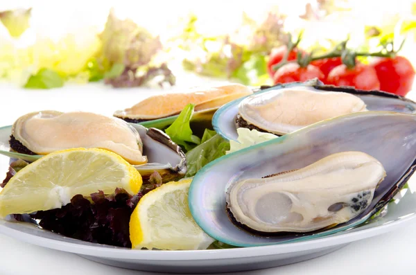 Green lipped mussels with salad — Stock Photo, Image