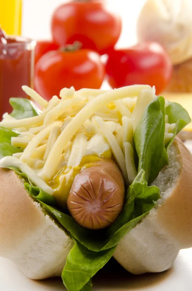 Hotdog con lattuga e formaggio stagionato grattugiato — Foto Stock