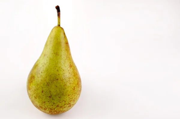 One pear and light background — Stock Photo, Image