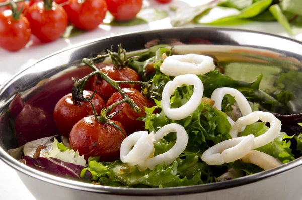 Grilled squid rings, tomato and fresh salad — Stock Photo, Image