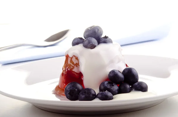 Rood fruit pudding met blauwe bessen — Stockfoto