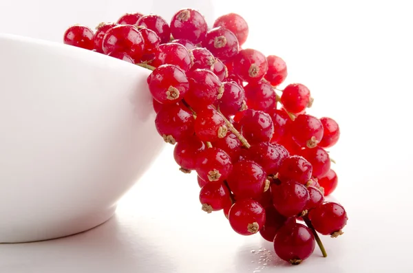 White bowl with freshly picked red currant — Stock Photo, Image