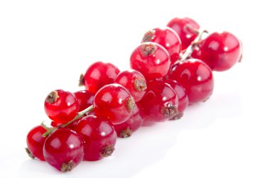 Freshly picked red currant clipart