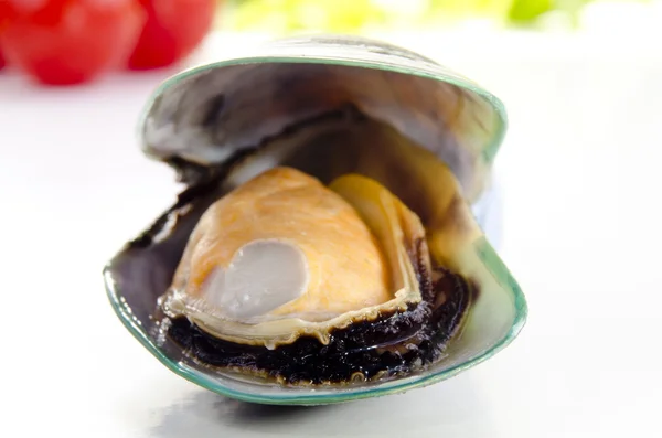 One open green lipped mussel — Stock Photo, Image