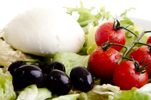 Salada mediterrânea com mussarela, azeitonas e tomates — Fotografia de Stock