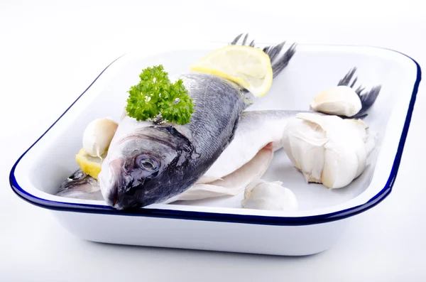 Sea ​​bass in an enamel bowl — Stock Photo, Image