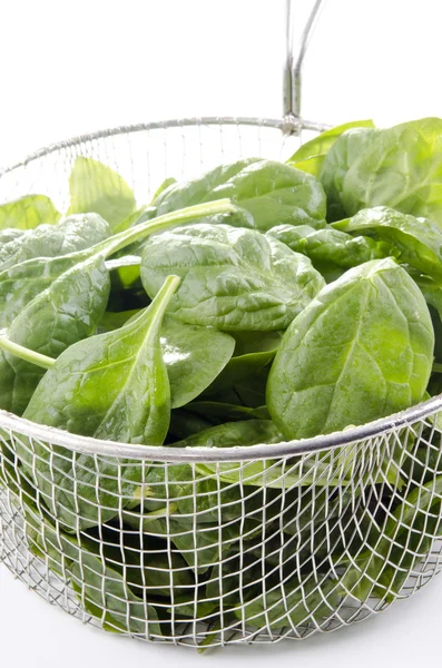 Young fresh spinach in a metal sieve after washing — Stok fotoğraf