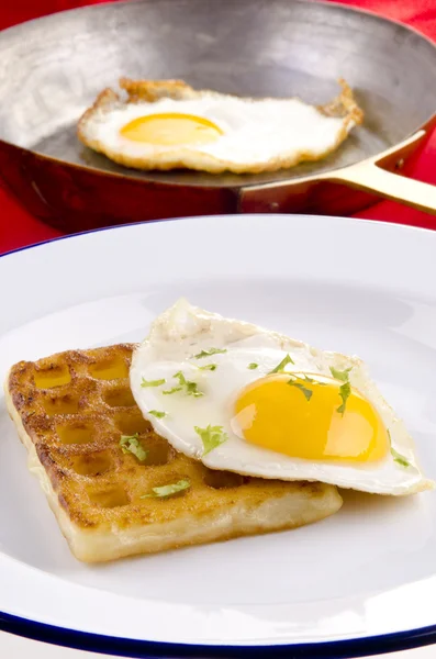 Bramborové vafle s vejcem na talíři — Stock fotografie