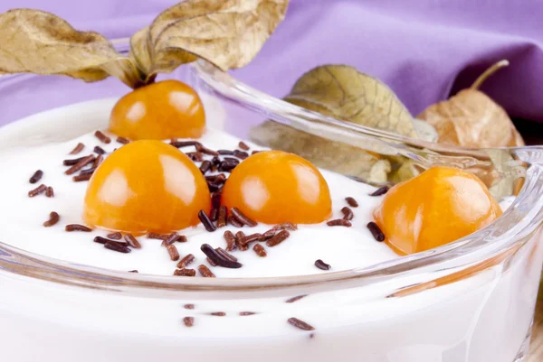 Fresh yogurt with physalis and chocolate sprinkles — Stock Photo, Image