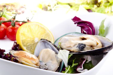 Green lipped mussels with salad clipart