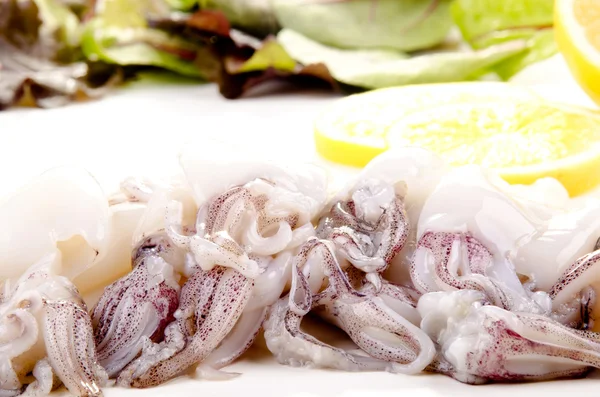 Свежие кальмары перед приготовлением в пищу — стоковое фото