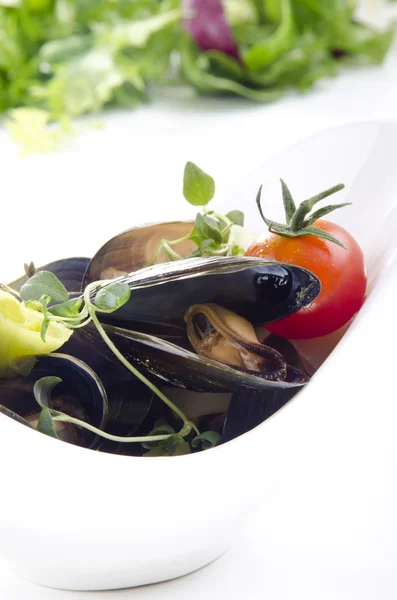 Cooked mussels with tomato in a white bowl — Stock Photo, Image