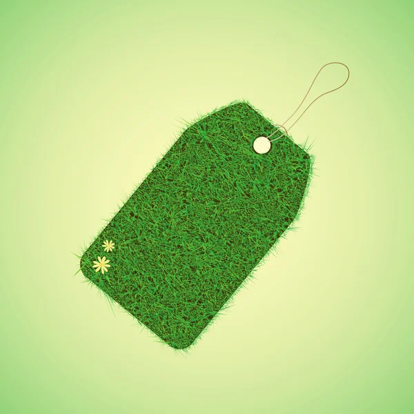 Green grass tag for spring design — Stock Vector