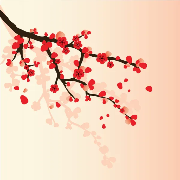 Sakura gren — Stock vektor