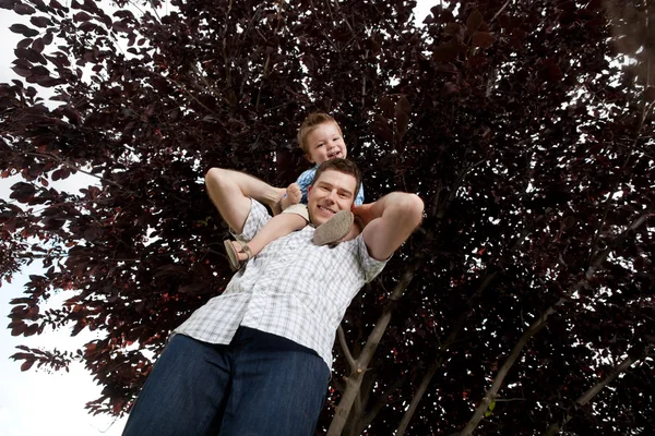 Porträt eines Jungen, der auf den Schultern seines Vaters sitzt — Stockfoto