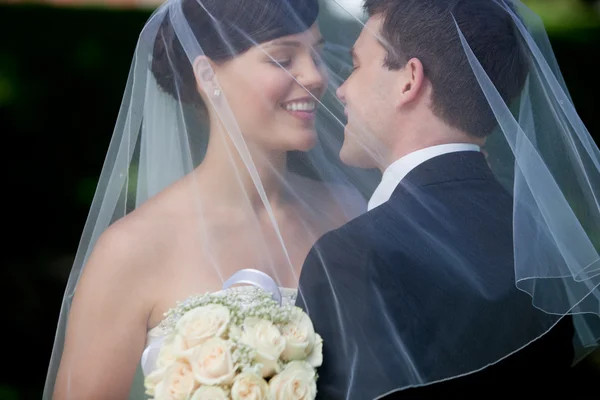 Nevěsta a ženich líbat pod závojem — Stock fotografie