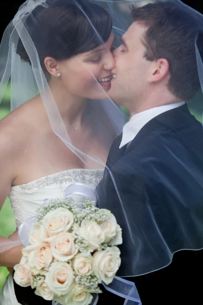 Nygifta par kysser Royaltyfria Stockfoton