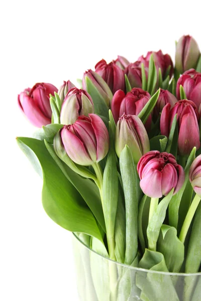 Букет тюльпанов — стоковое фото